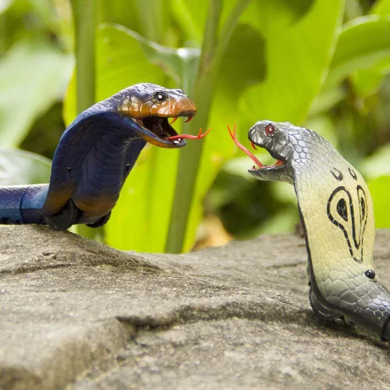 RC Snake Realistic Snake Toys  - Ir Infrared Receiver review and price